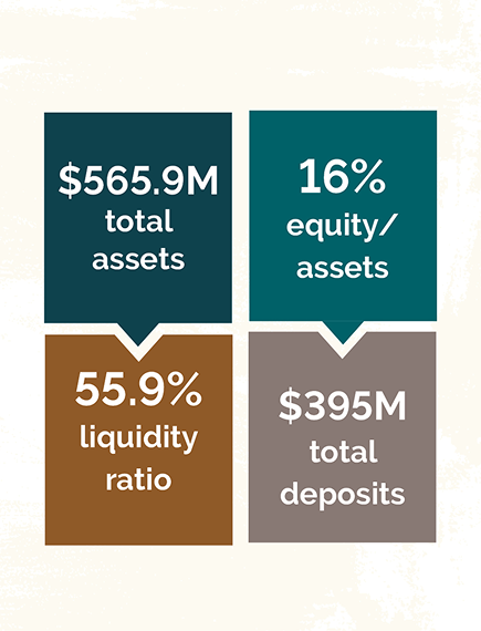 565.9 M total assets, 16% equity/assets, 55.9% liquidity ratio, $395M total deposit