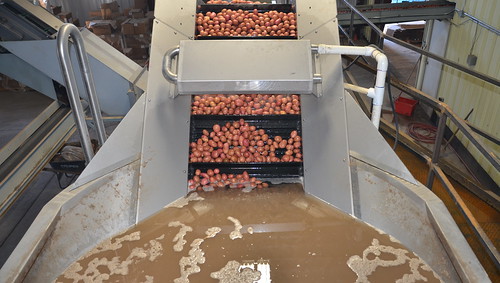 White Rock Specialties potato processing