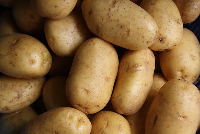 Multiple potatoes harvested